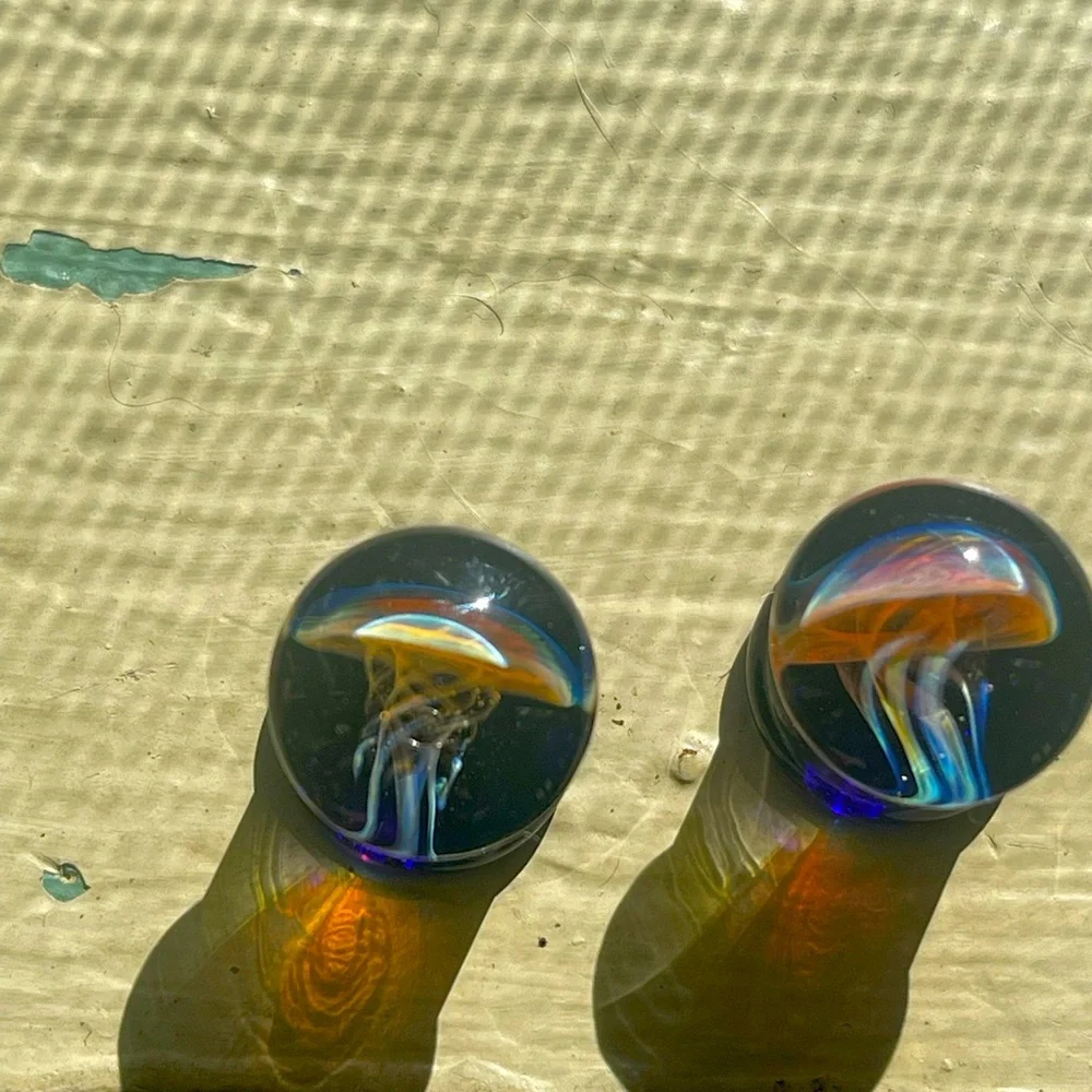 Jellyfish gauges - Picture 3 of 5